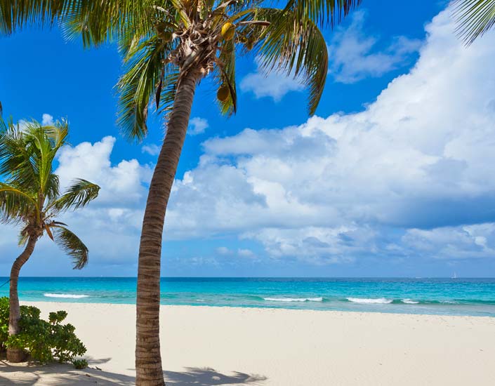 A perfect paradise  